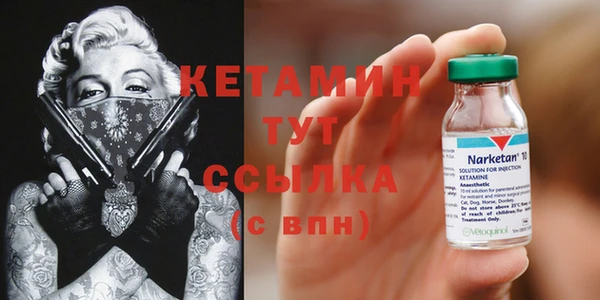 прущие грибы Кулебаки