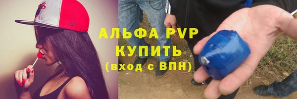 прущие грибы Кулебаки