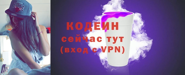 прущие грибы Кулебаки