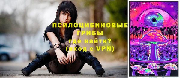 герыч Куйбышев