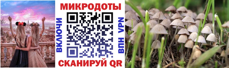 Псилоцибиновые грибы мухоморы  Иркутск 