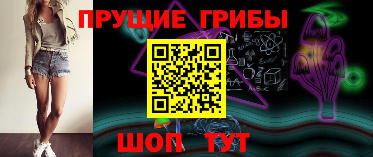 где купить наркоту  Вход с VPN  Псилоцибиновые грибы MAGIC MUSHROOMS  Иркутск  Псилоцибиновые грибы Psilocybe 